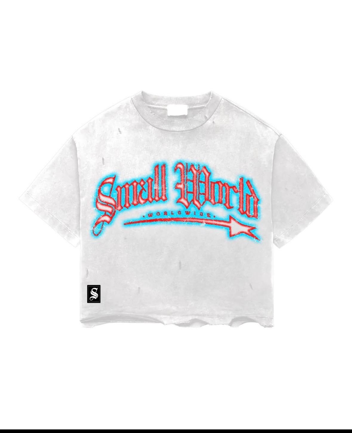 SMALL WORLD T-SHIRT